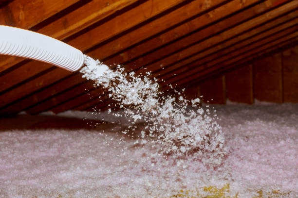 Best Spray Foam Insulation in Kealakekua, HI