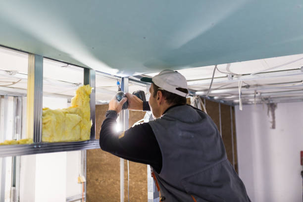 Best Insulation for Specific Applications in Kealakekua, HI