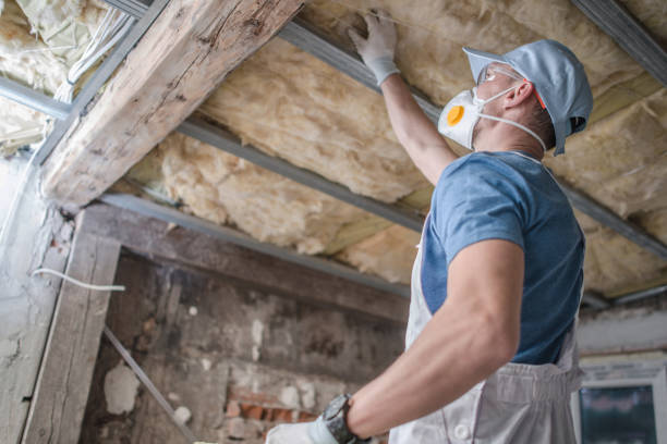 Best Eco-Friendly Insulation in Kealakekua, HI